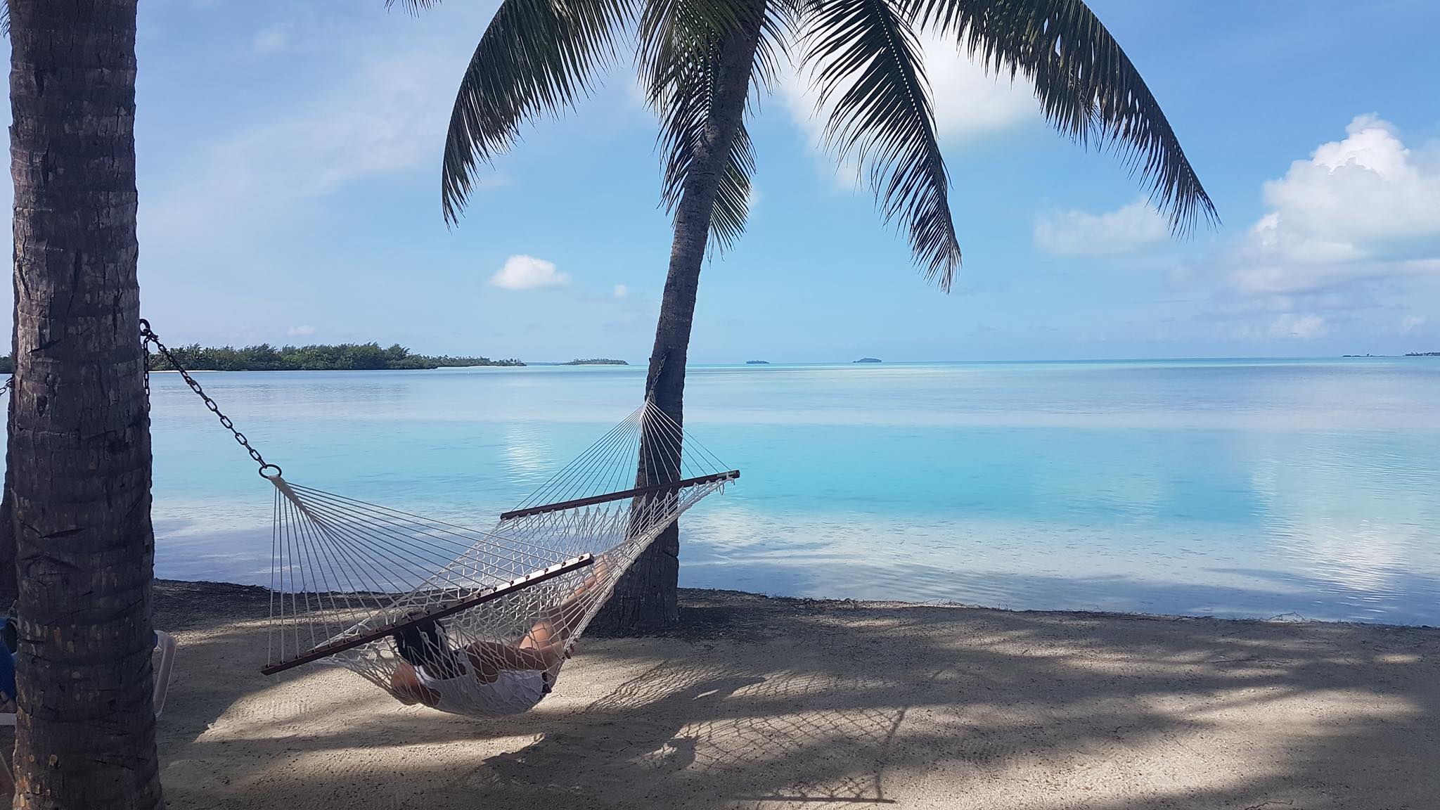 hammock beside sea